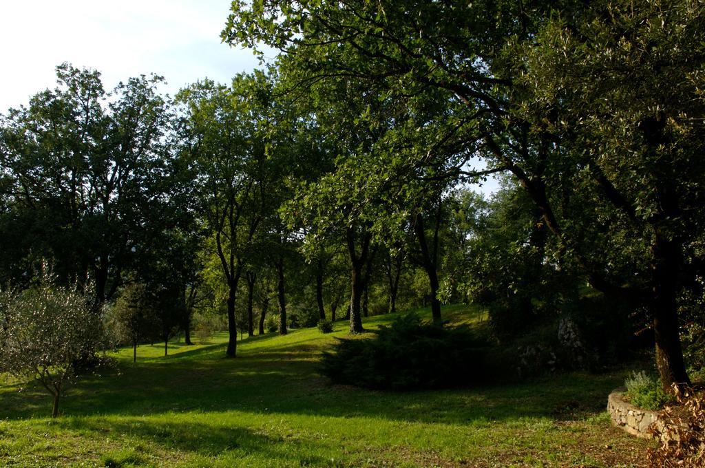 La Colonna Bed & Breakfast Montelanico Dış mekan fotoğraf