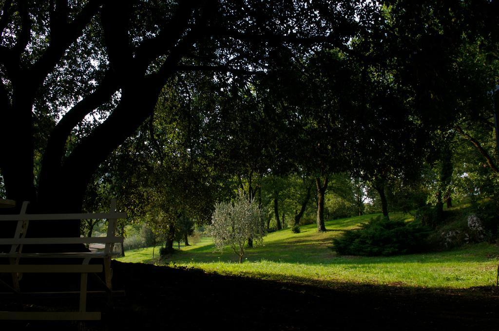La Colonna Bed & Breakfast Montelanico Dış mekan fotoğraf